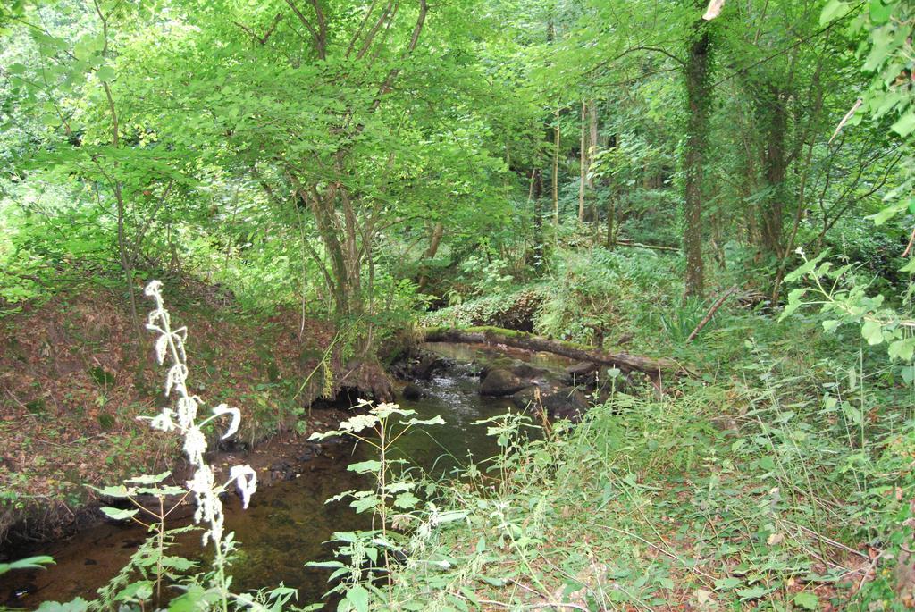 Gite La Chouette Bégard Exterior photo
